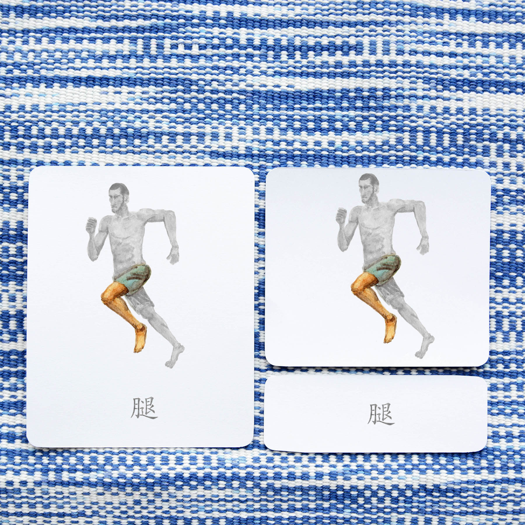 montessori three part cards, Montessori nomenclature cards, montessori printable PDFs, language cards, part of cards