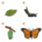 Thumbnail: language montessori materials, buy montessori materials, language montessori materials, montessori learning materials
