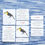 Thumbnail: montessori 3-part classified cards, 5-part nomenclature cards, montessori classified cards, birds cards