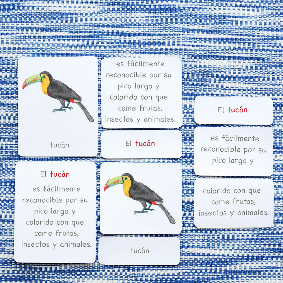 montessori 3-part classified cards, 5-part nomenclature cards, montessori classified cards, birds cards