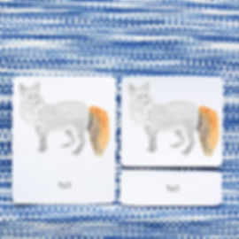 montessori three part cards, Montessori nomenclature cards, montessori printable PDFs, language cards, part of cards