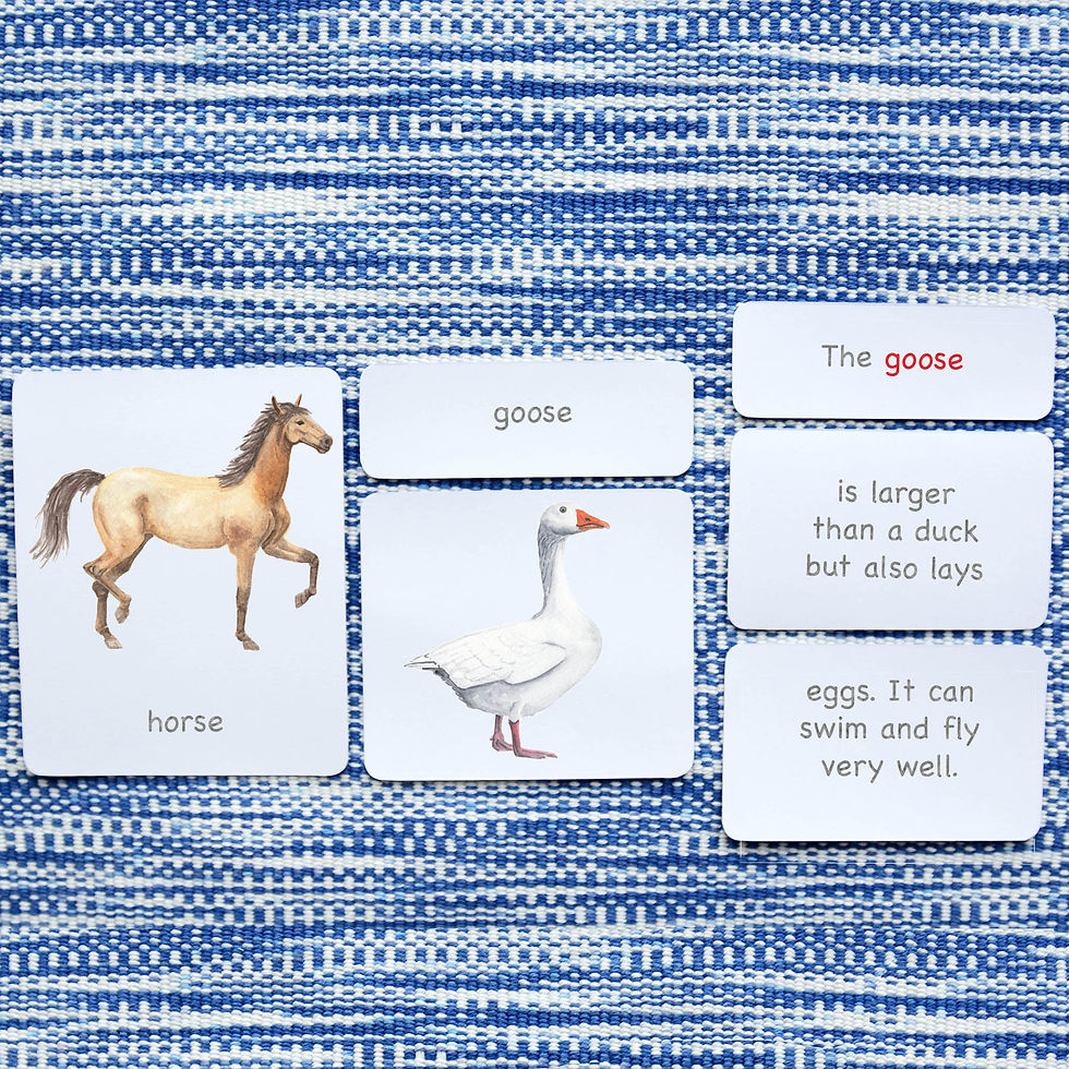 montessori 3-part classified cards, 5-part nomenclature cards, montessori classified cards,farm nomenclature cards