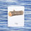 Thumbnail: montessori three part cards, Montessori nomenclature cards, montessori printable PDFs, language cards, part of cards