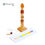 Thumbnail: sensorial materials, montessori suppliers, montessori supplies, montessori shops, montessori materials, montessori items
