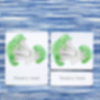 botany nomenclature cards, 3-part cards, montessori 3-part cards, Montessori parts of cards, montesssori continent cards