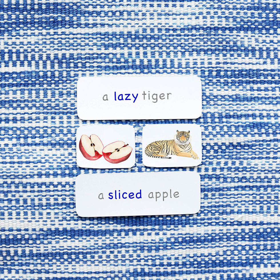 montessori three part cards, Montessori nomenclature cards, montessori printable PDFs, language cards, part of cards