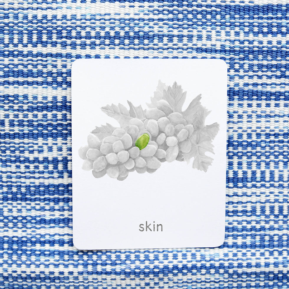 botany nomenclature cards, 3-part cards, montessori 3-part cards, Montessori parts of cards, montesssori fruit cards