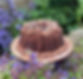 IMG_7059.jpeg