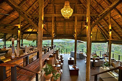 IMG_VFSL_Safari_Club_2.jpeg