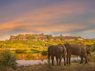 Victoria Falls Safari Lodge Waterhole
