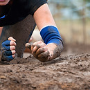 Mud Crawl