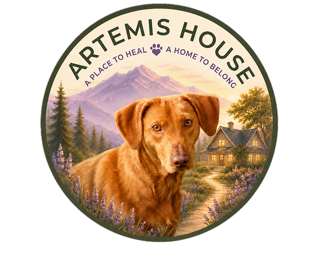 Artemis House Artistic Logo | A Place to Heal. A Home to Belong.