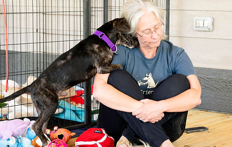 What Makes Us Different: Fosters Are the Heart