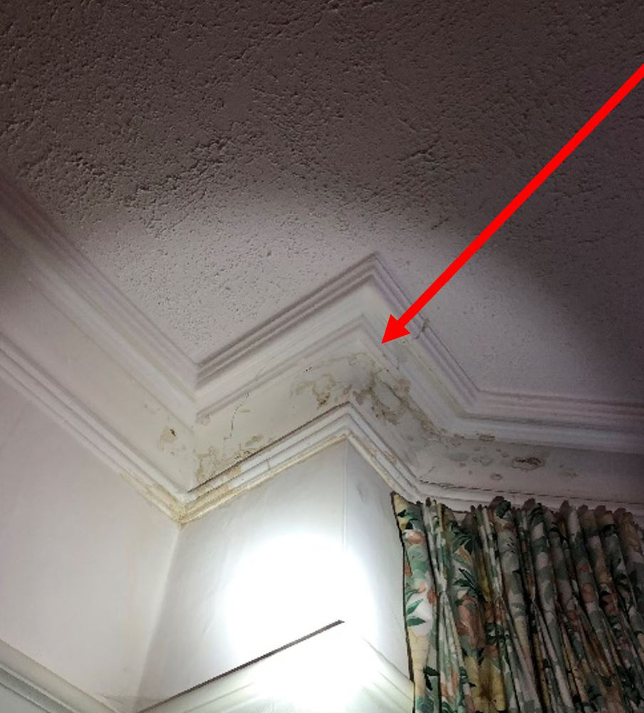 How To Treat Damp Walls Internally