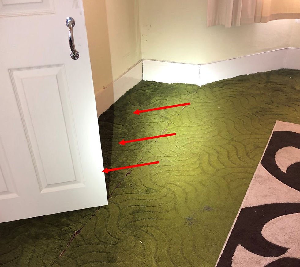 Structural survey floor sloping