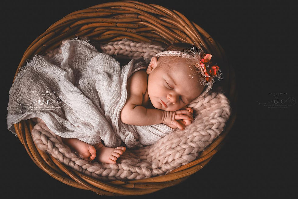 newborn sleeping in a basket at oc studios by lizette image is copyright
