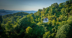 24 Hawk Holler Trail-103