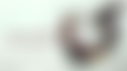 “Jogos Vorazes - Amanhecer na Colheita”