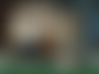 “Ainda Estou Aqui” representa o Brasil no David di Donatello, maior premiação do cinema italiano 