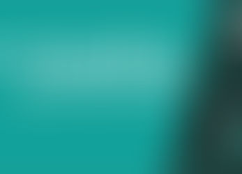 A 49ª Mostra Internacional de Cinema em São Paulo