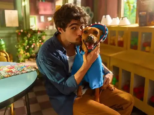 No Dia Nacional do Vira-Lata, Netflix divulga primeiras imagens e pôster do filme Caramelo