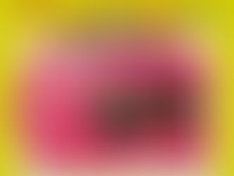 BIENAL DE PERNAMBUCO 2023 TERÁ PAINEL ESPECIAL DE WONKA