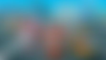 CLUBE FILMES LANÇA NOVA DIVISÃO DE LICENCIAMENTO E TRAZ DE VOLTA ÀS LOJAS BRINQUEDOS DE SUPER WINGS