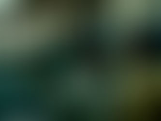 Moneyboys - "quando vendem gato por lebre"