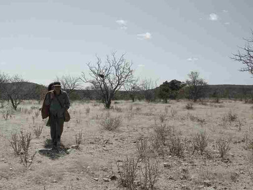 OS ATORES AURY PORTO E PAULO MARCELLO REALIZAM A LEITURA DA PEÇA AGRESTE, DE NEWTON MORENO, ANTES DA EXIBIÇÃO DO FILME AGRESTE, DE SÉRGIO ROIZENBLIT