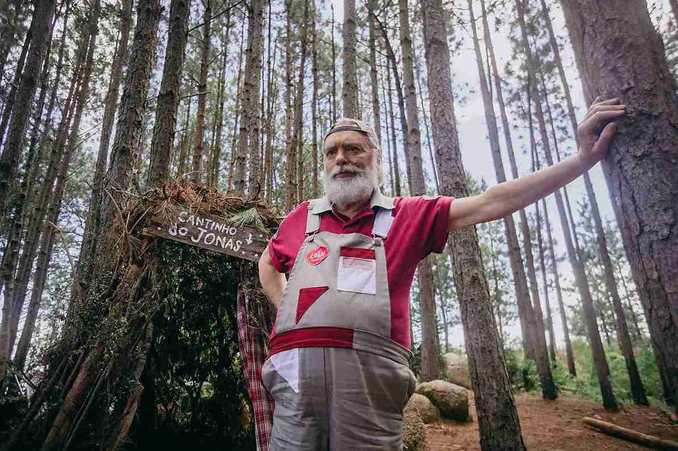 UMA CARTA PARA PAPAI NOEL