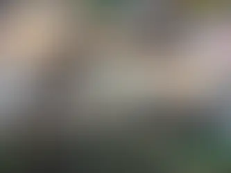 Editoras celebram crescimento de até 70% em vendas no primeiro fim de semana da Bienal do Livro Rio 2025