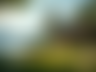 Finding Your Perfect Rental in Lake Chapala: Exploring Lake Chapala Rental Options