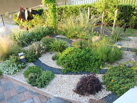 rock garden