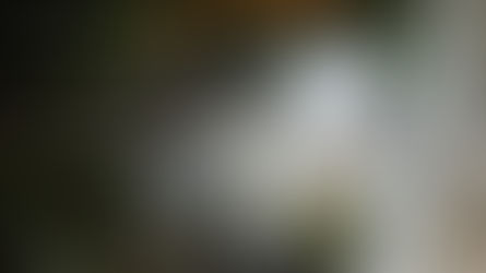 Suspicious Camera Activity