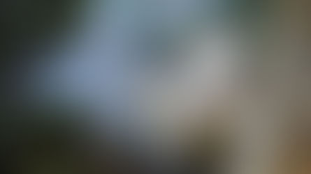 Suspicious Camera Activity