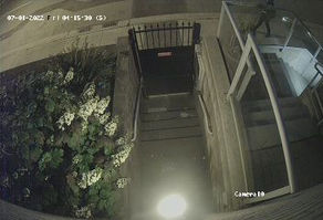 Suspicious Camera Activity