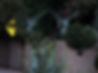 bisbee.jpg