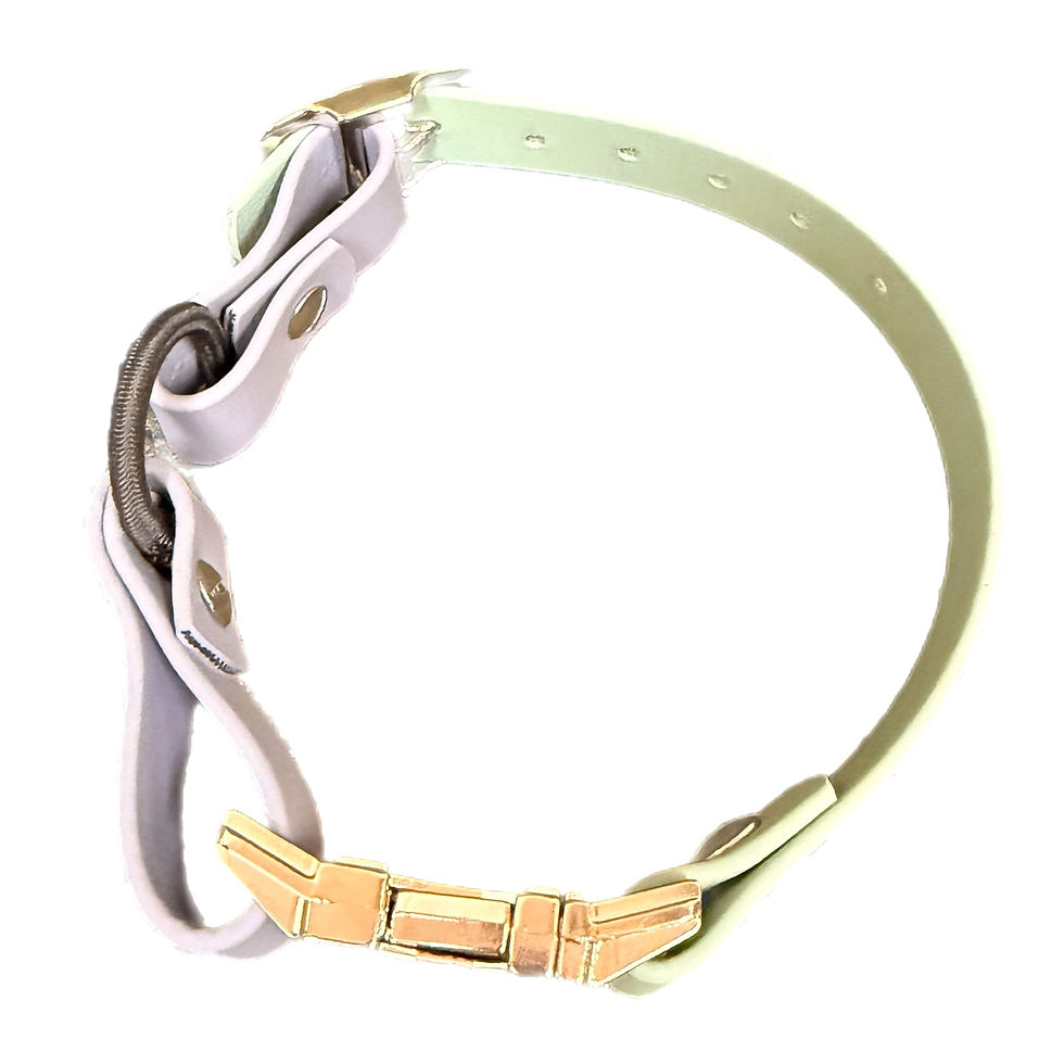 Thumbnail: E-Collar Straps
