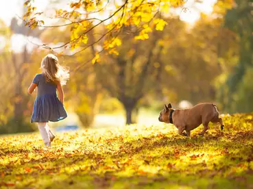 Trick or Treat? How about a treat of DIY tricks for taking great fall family photos!