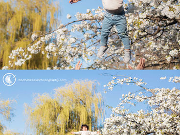Vancouver Family Photography during the Vancouver Cherry Blossom Festival! Vancouver, Richmond, Burnaby, Surrey, Langley, North Vancouver, West Vancouver
