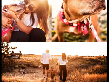 Fall minis photoshoot Vancouver with a cherished family dog who is battling cancer. 