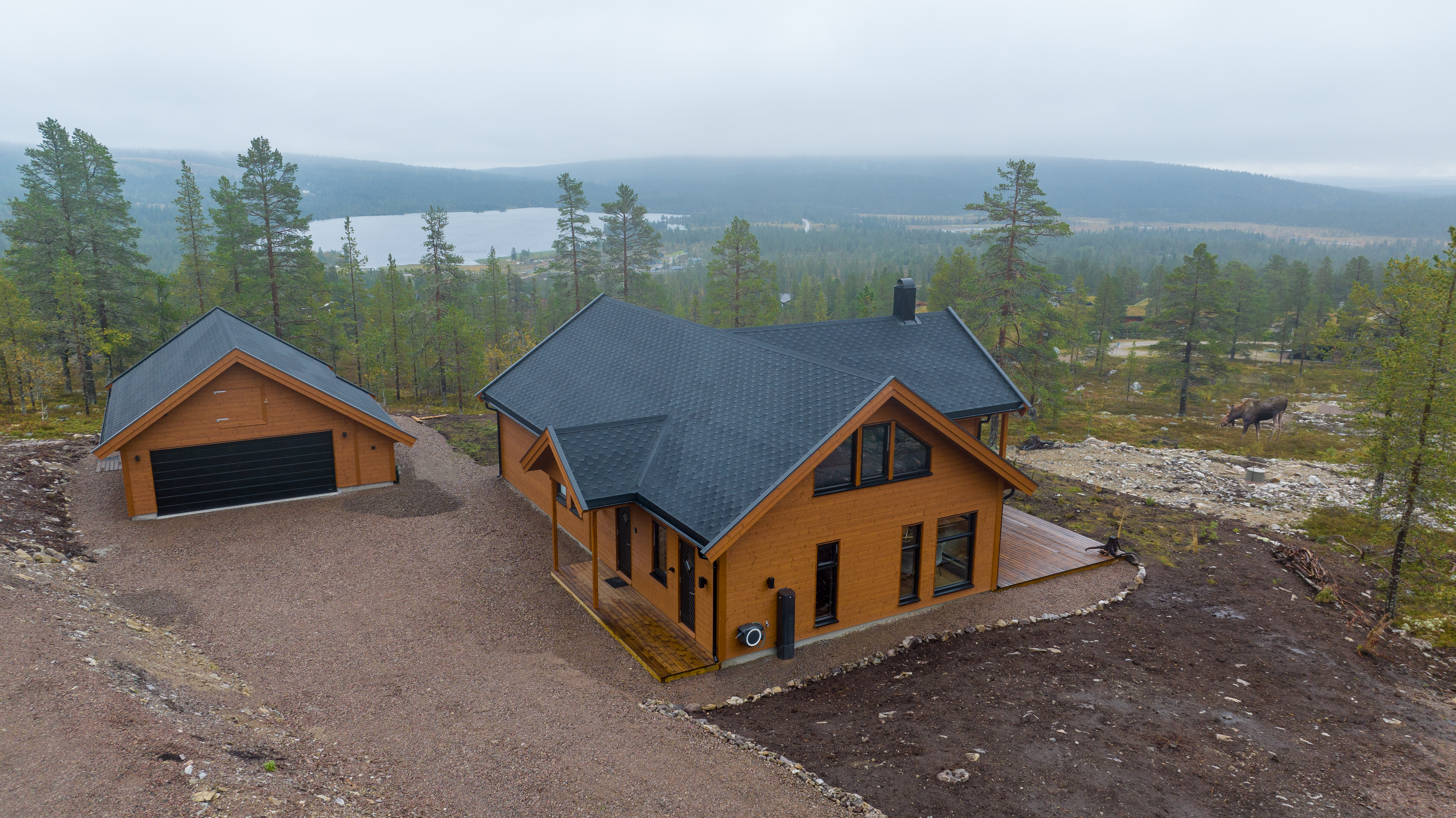 Fjellmora 24 – bilde 7