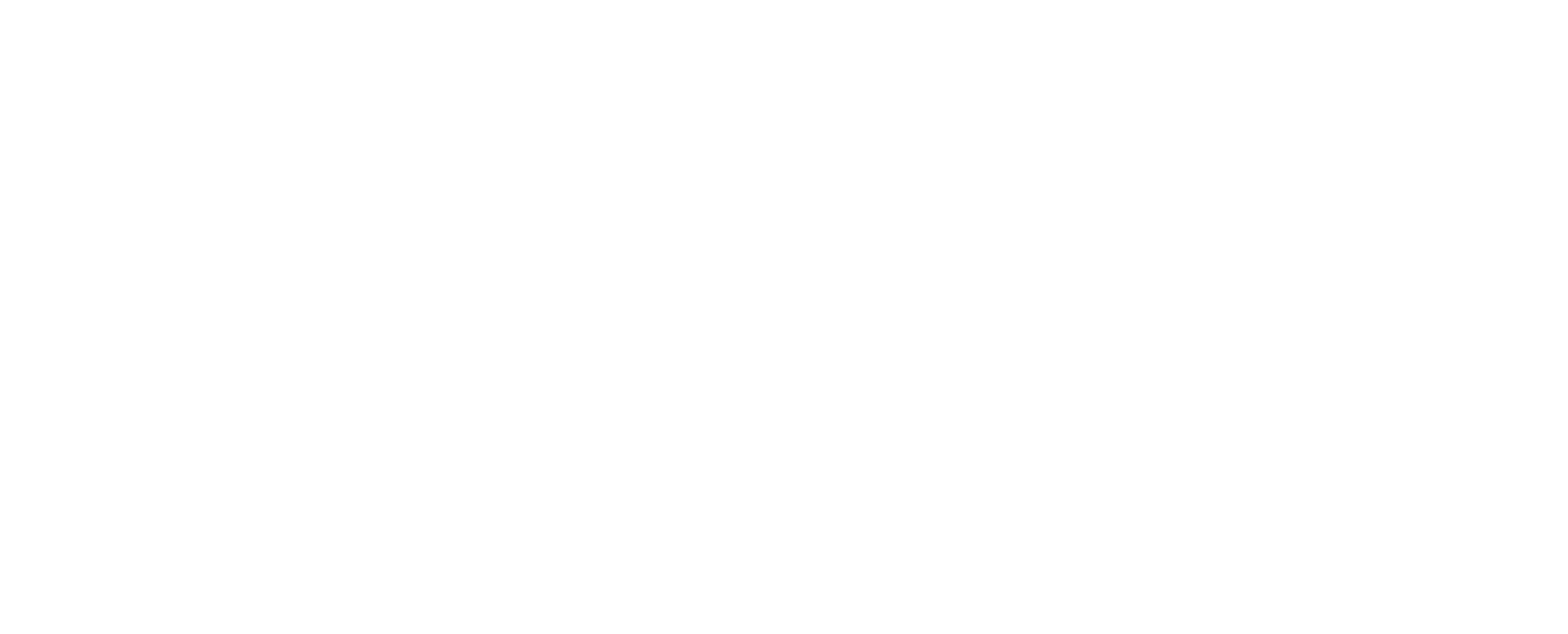 Palmia logo