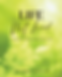 Copy of SOBRINO Cover IS 70Lb - Flattened 2 off Center Back_edited_edited.png