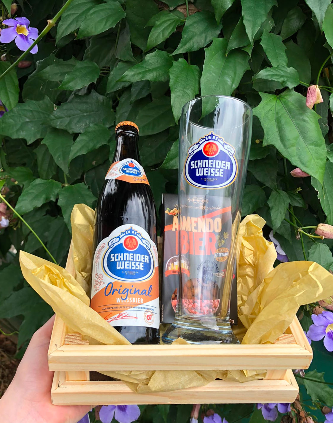 Kit Cerveja com Copo Schneider Alemã
