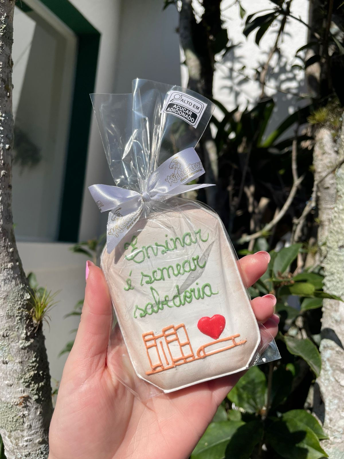 Biscoito "Ensinar é Semear Sabedoria"