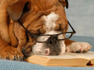 Good Writing Breeds Lazy Reading