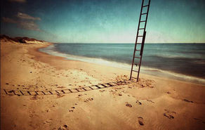 The Ultimate Escapism