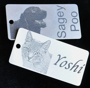 Stainless Steel Dog Tag