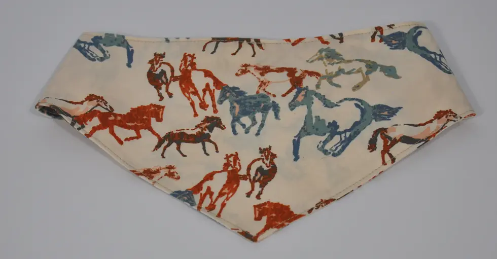 Pet Bandana